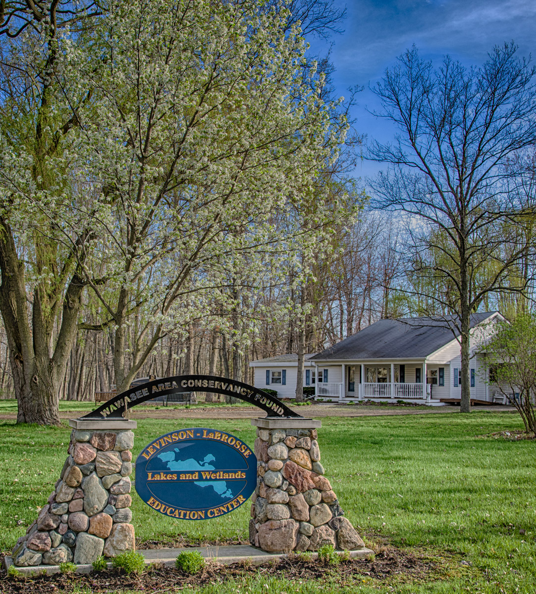 Spring at the Center