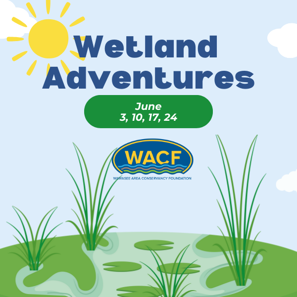 Wetland adventure events