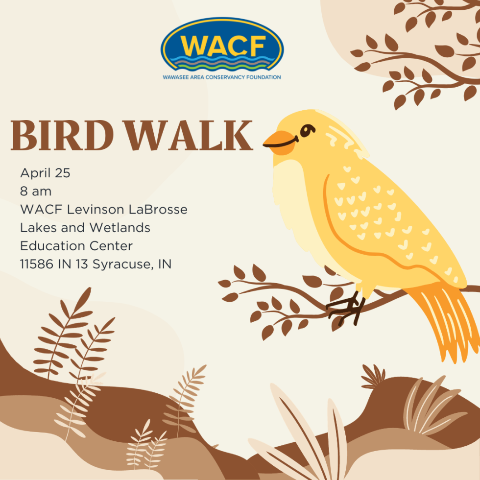 Bird Walk - WACF